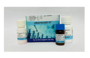 Lipase