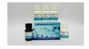 Alkaline Phosphatase