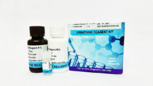 Creatinine 